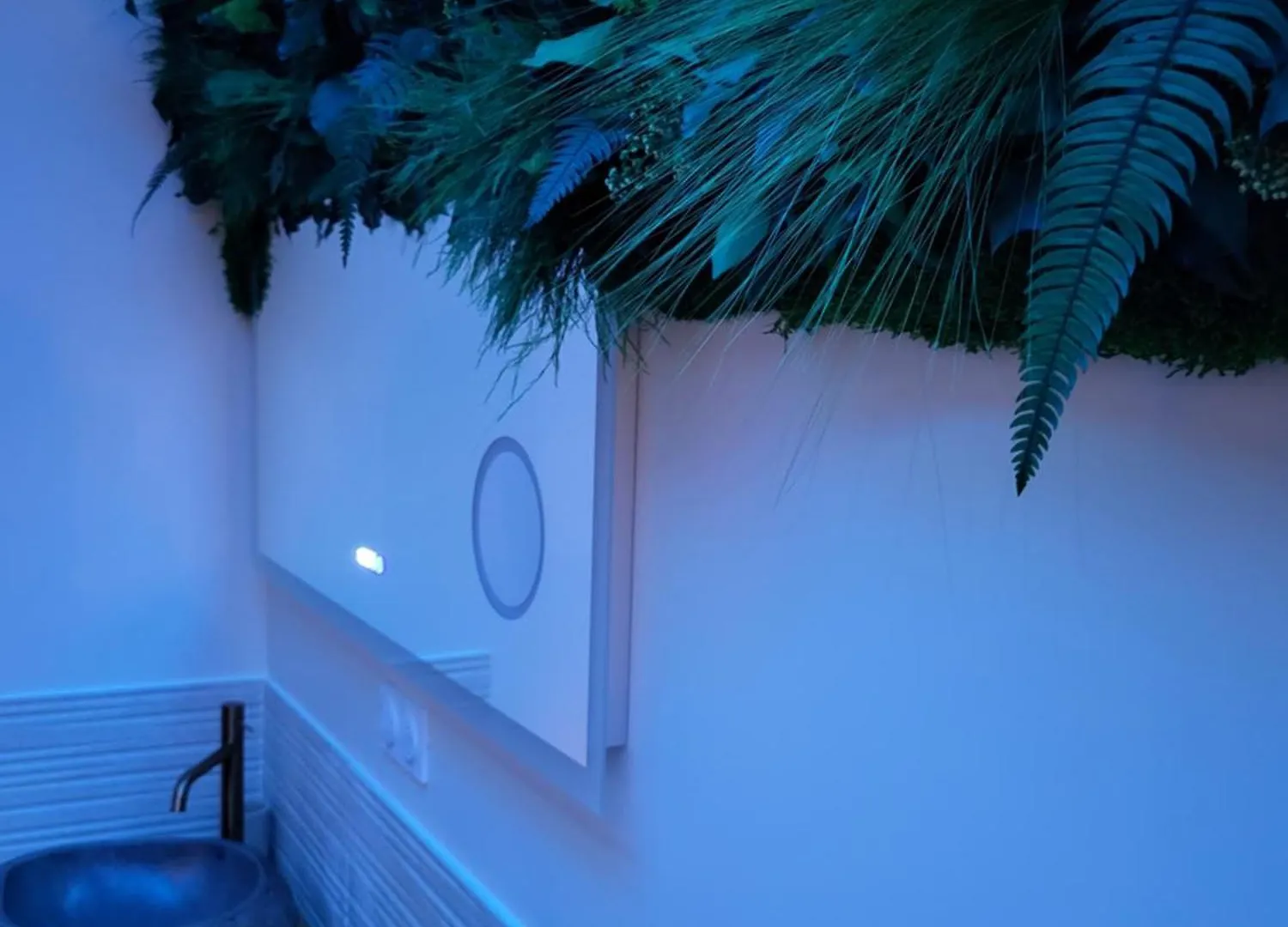 Suite L'Olive Sacree Spa Et Sauna Cabannes Guest house