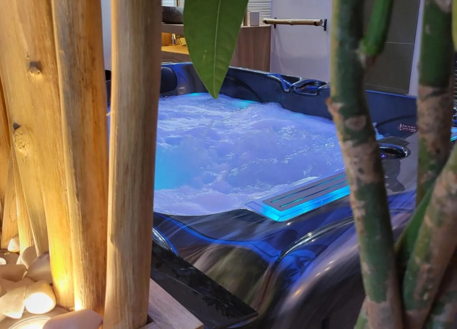 Guest house Suite L'Olive Sacree Spa Et Sauna Cabannes