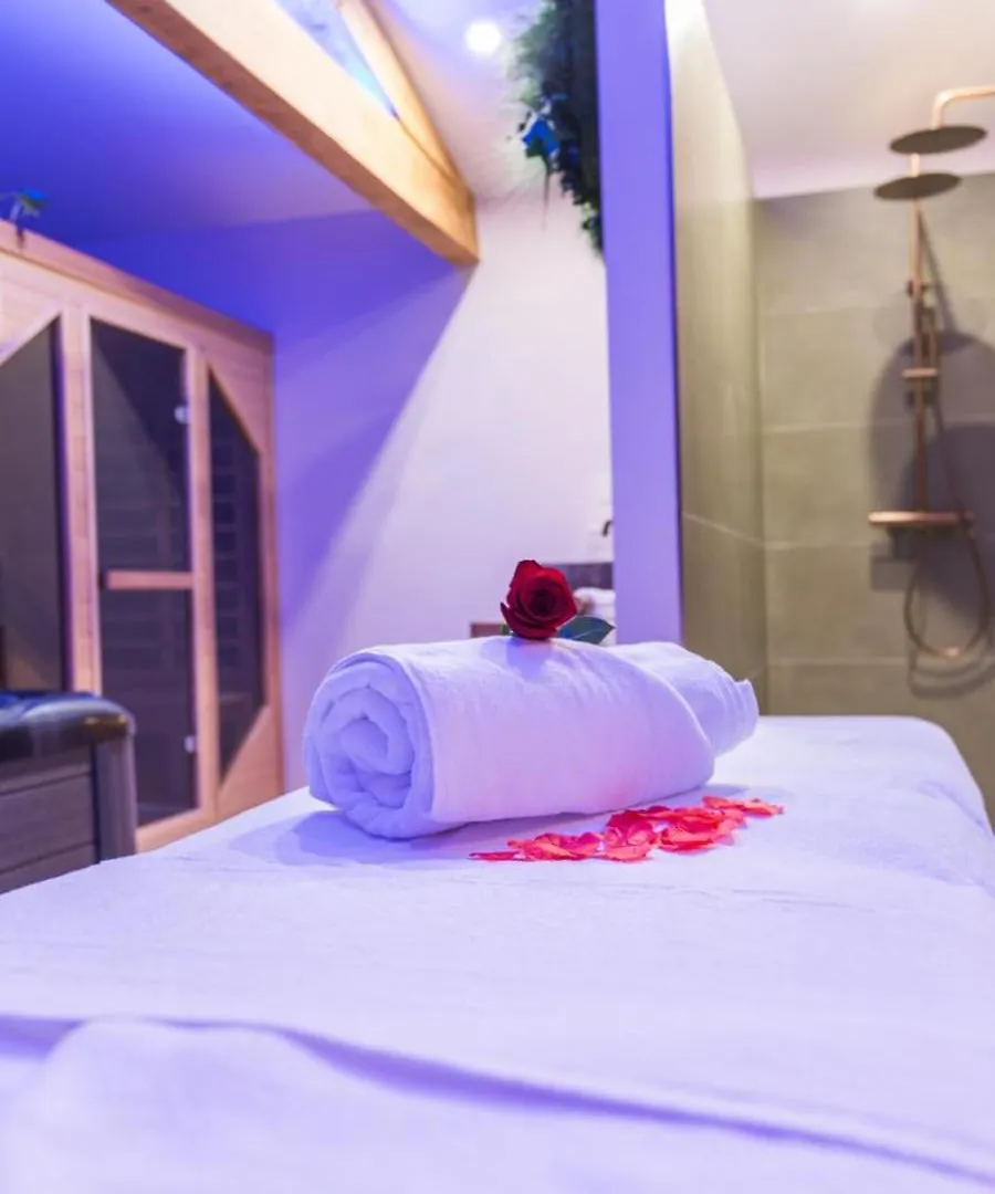 Suite L'Olive Sacree Spa Et Sauna Cabannes Guest house